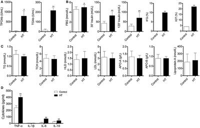 Depletion of Regulatory T Cells in Visceral Adipose Tissues Contributes to Insulin Resistance in Hashimoto's Thyroiditis